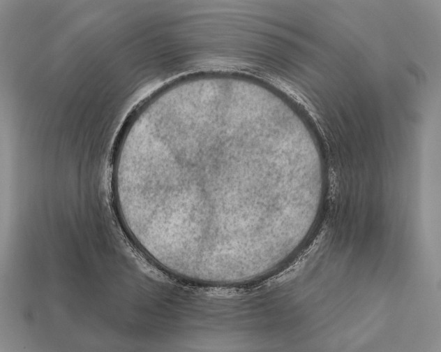 X0000112421029200909251512