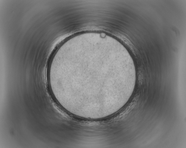 X0000112421030200909251512