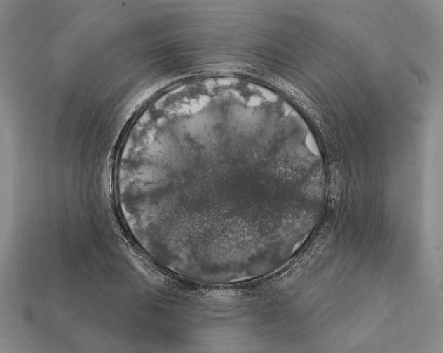 X0000112421031200909251512