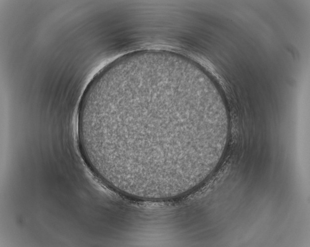 X0000112421032200909251512