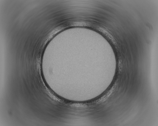 X0000112421033200909251512