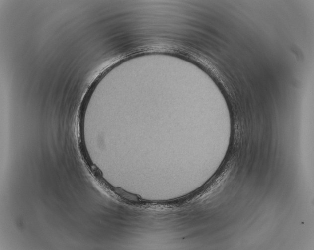 X0000112421034200909251512