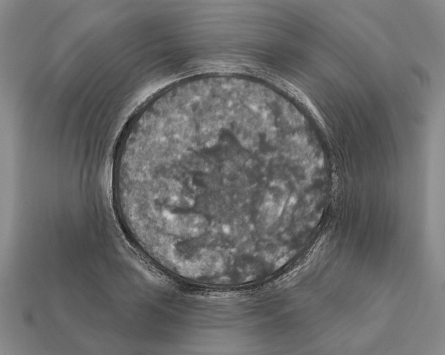 X0000112421035200909251512