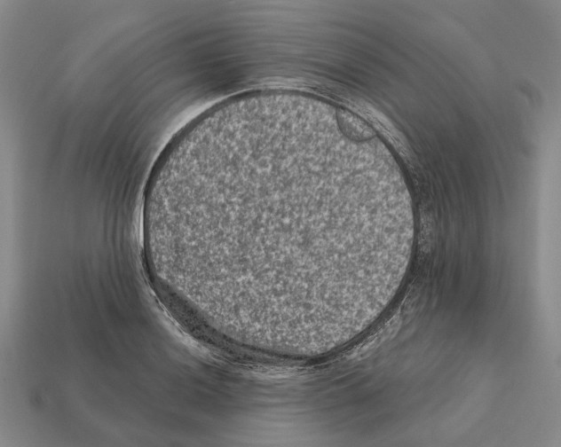 X0000112421036200909251512