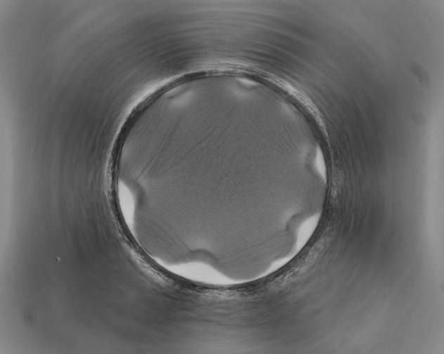 X0000112421037200909251512