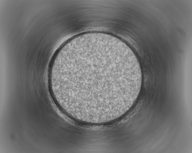 X0000112421038200909251512