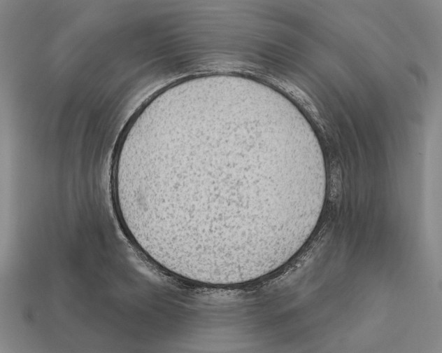 X0000112421039200909251512