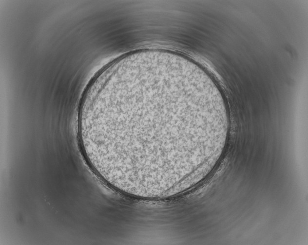 X0000112421040200909251512