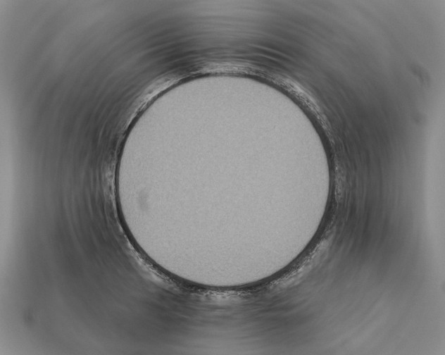 X0000112421041200909251512