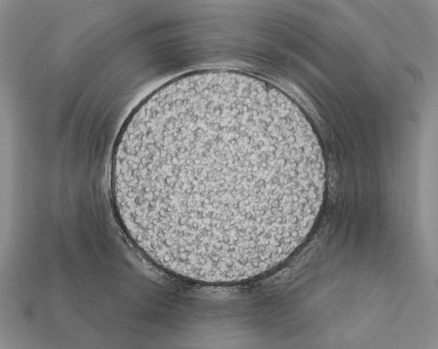 X0000112421044200909251512