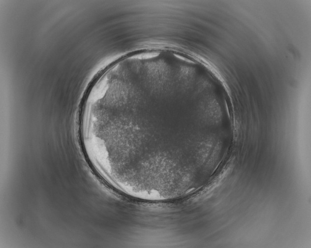 X0000112421045200909251512