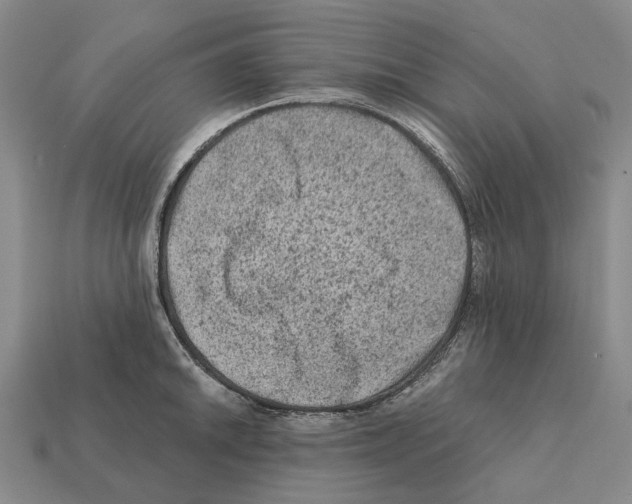 X0000112421046200909251512