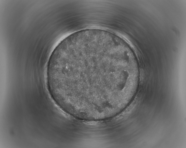 X0000112421048200909251512