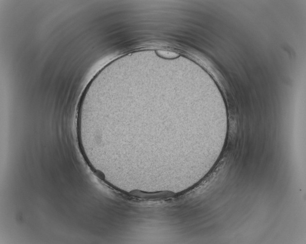 X0000112421050200909251512