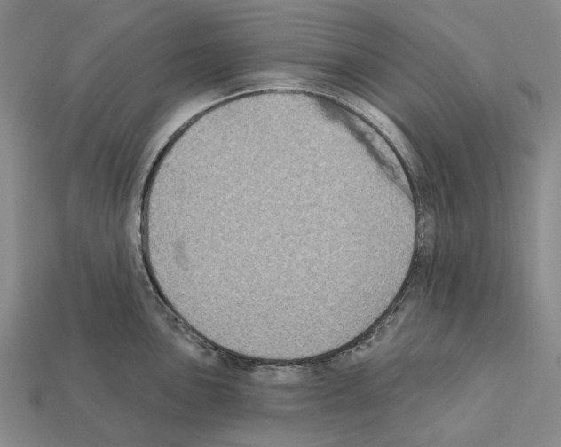 X0000112421051200909251512