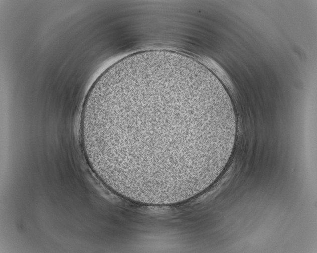 X0000112421052200909251512