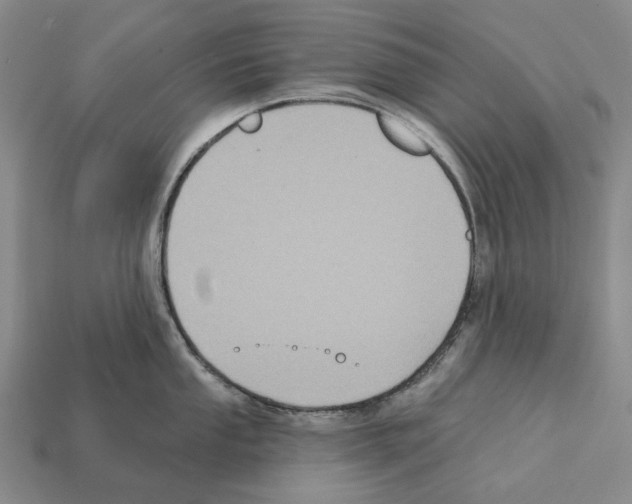 X0000112421053200909251512