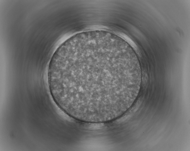 X0000112421055200909251512