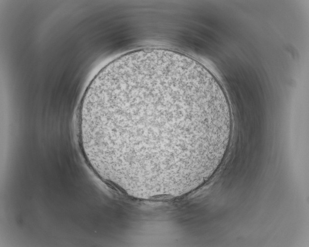 X0000112421056200909251512