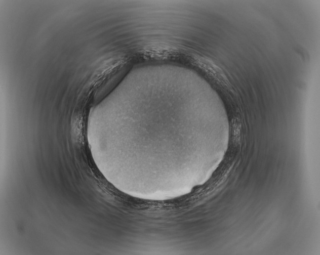 X0000112421060200909251511