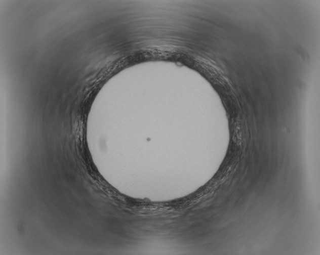 X0000112421061200909251511