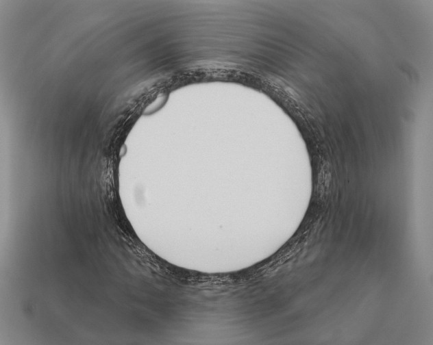 X0000112421062200909251511