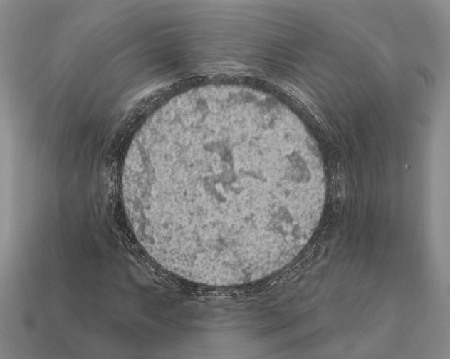 X0000112421063200909251511