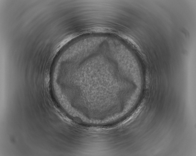 X0000112421065200909251511