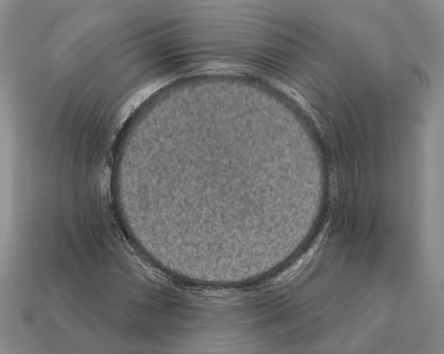 X0000112421066200909251511