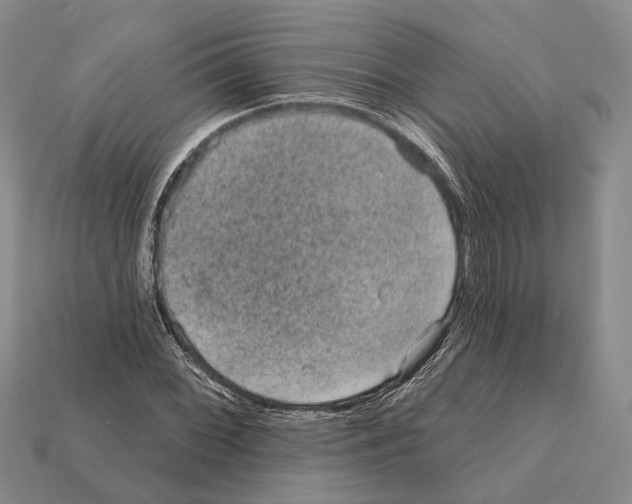 X0000112421068200909251511