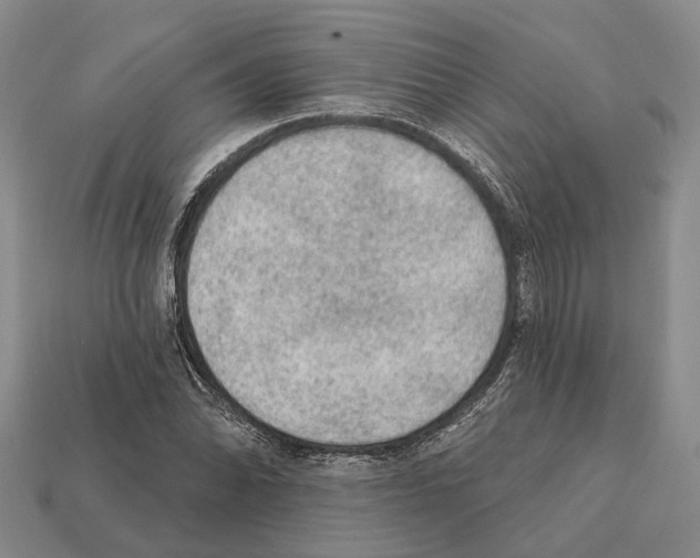 X0000112421070200909251511