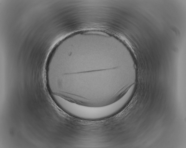 X0000112421072200909251511