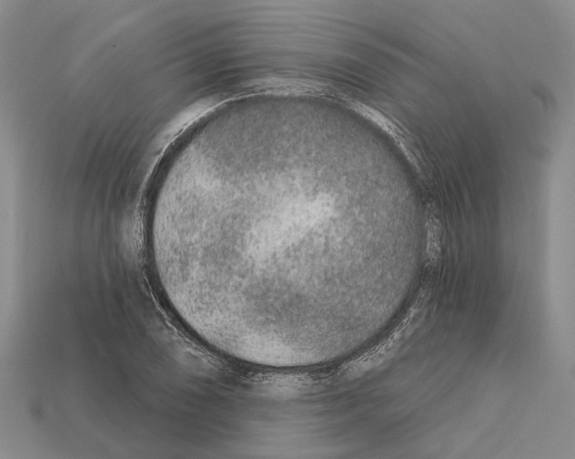 X0000112421074200909251511