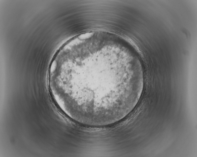 X0000112421076200909251511