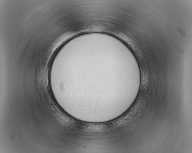 X0000112421078200909251511