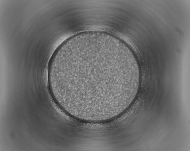 X0000112421079200909251511