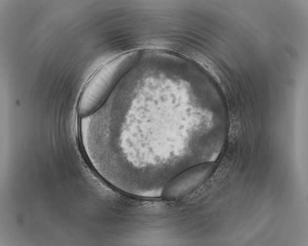 X0000112421080200909251511