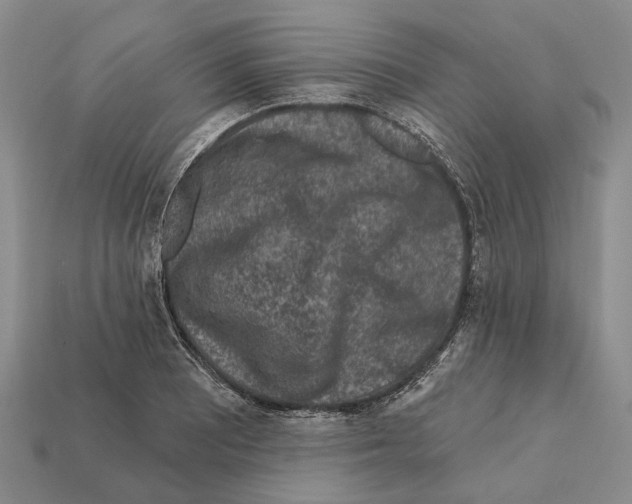 X0000112421081200909251511