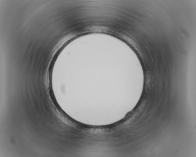 X0000112421082200909251511