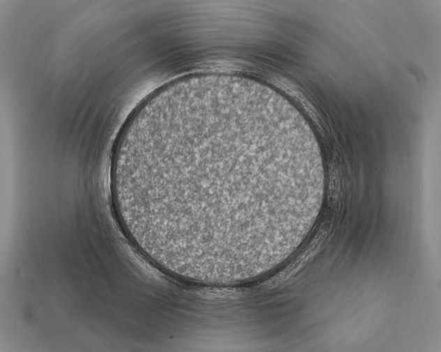 X0000112421083200909251511