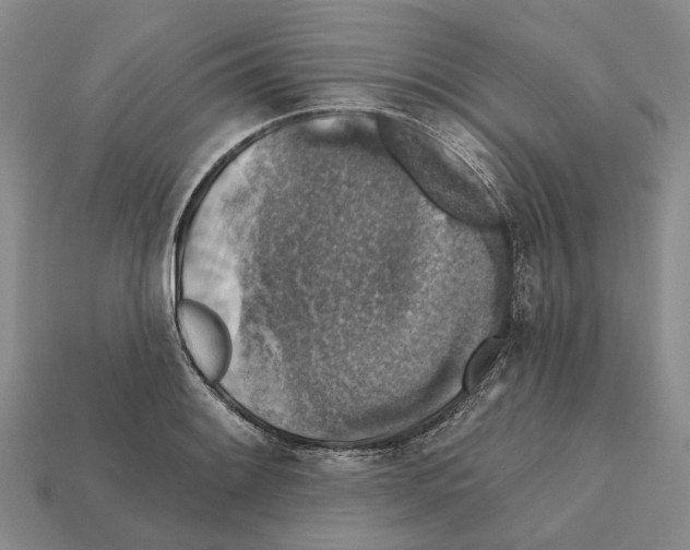 X0000112421084200909251511