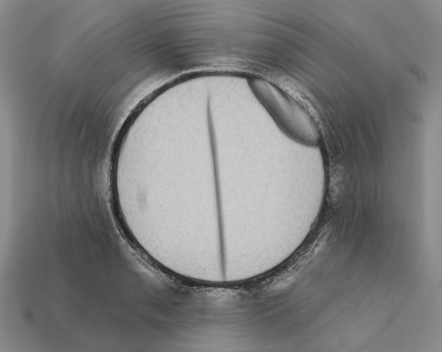 X0000112421085200909251511