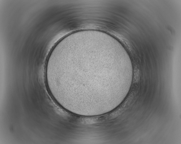 X0000112421086200909251511