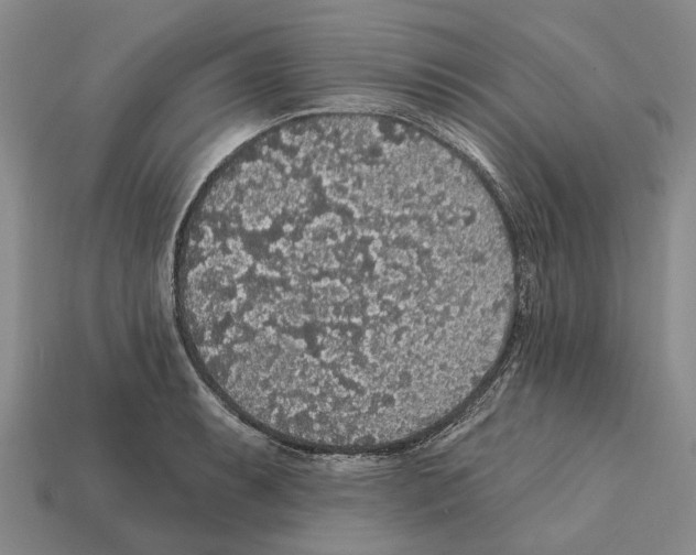 X0000112421087200909251511