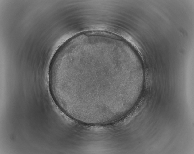 X0000112421088200909251511