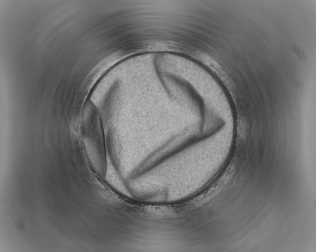 X0000112421089200909251511