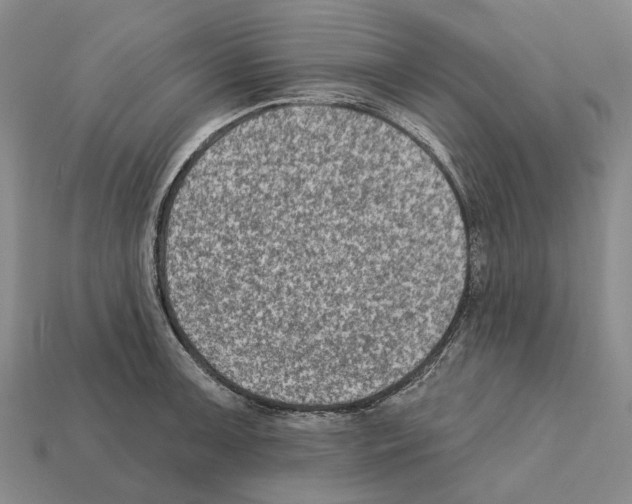 X0000112421091200909251511