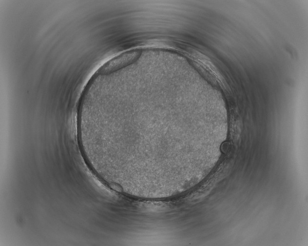 X0000112421092200909251511