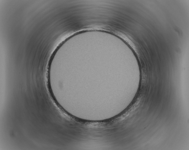 X0000112421093200909251511