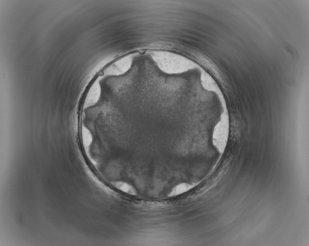 X0000112421095200909251511